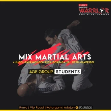MIX MARTIAL ART